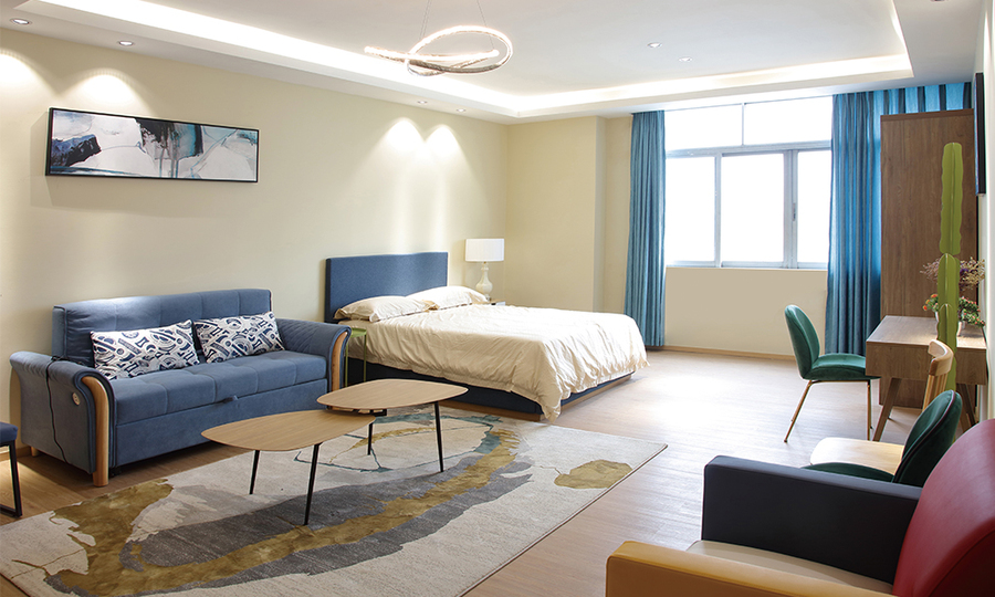 Apartment-10 Furniture, Apartment Bed, Leisure Sofa