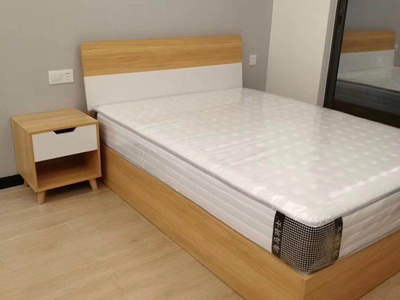 公寓实景布置-2 公寓家具.床.床头柜.衣柜