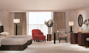 Standard Suite (Double Room-6) - Hotel Furniture - Hotel Sofa - Table and Chair